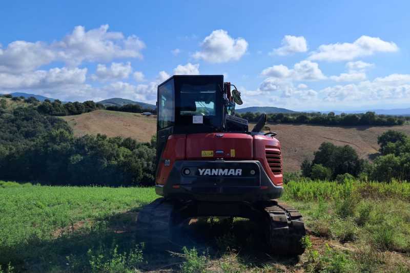 OmecoHub - Immagine YANMAR VIO80-1A